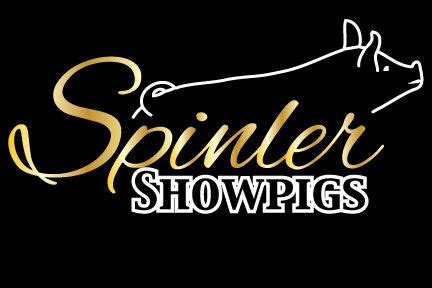 Spinler show pigs. Things To Know About Spinler show pigs. 